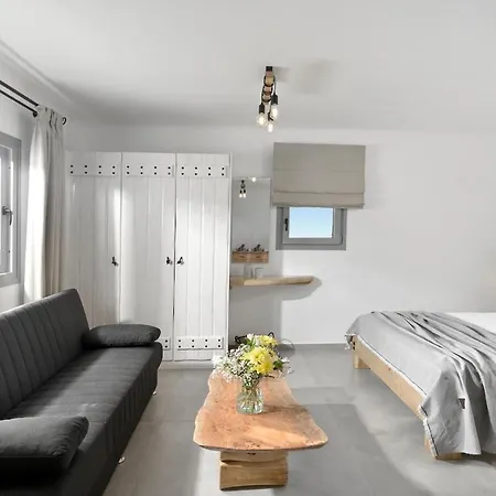 Granite Village Mykonos מלון דירות